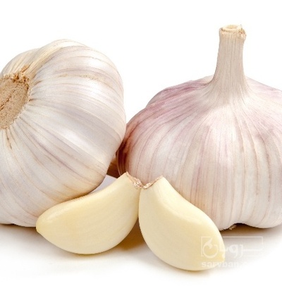 فروش سیر سفید سردخانه ایی