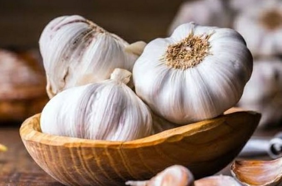 فروش سیر