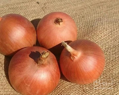 فروش پیاز زرد