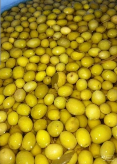 فروش زیتون شور