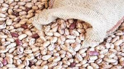فروش لوبیا قرمز