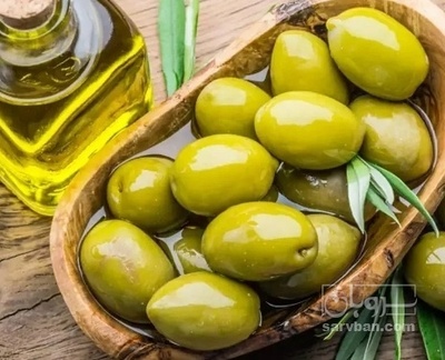 فروش زیتون