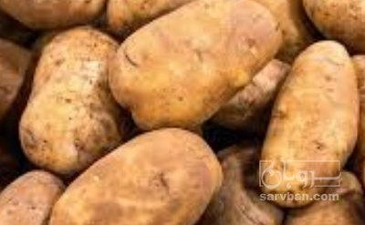 فروش سیب زمینی