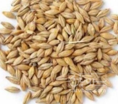 فروش جو
