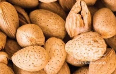 فروش بادام