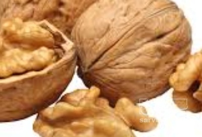 فروش گردو