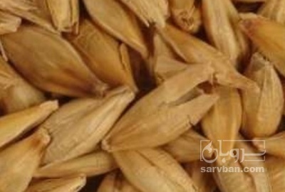 فروش جو
