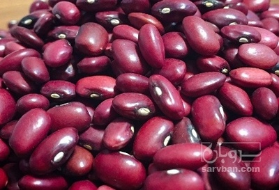فروش لوبیا قرمز