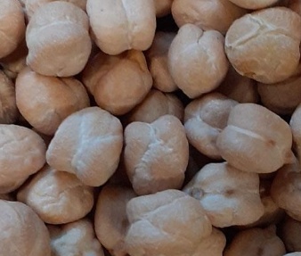 فروش نخود فلافلی