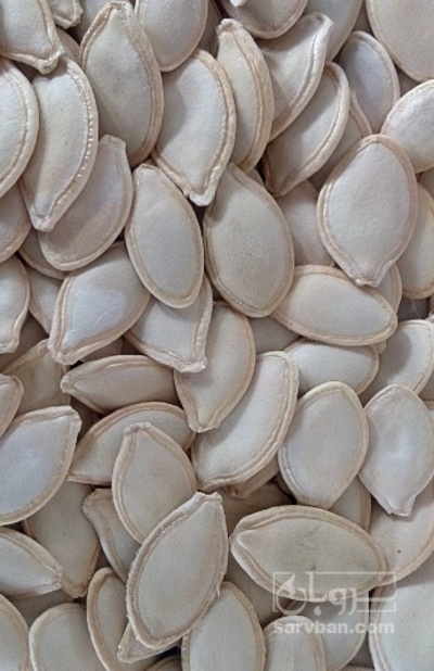 فروش تخمه  کدو