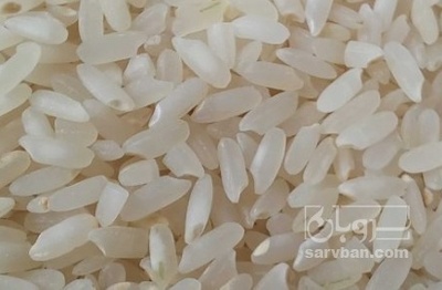 فروش برنج عنبر بو