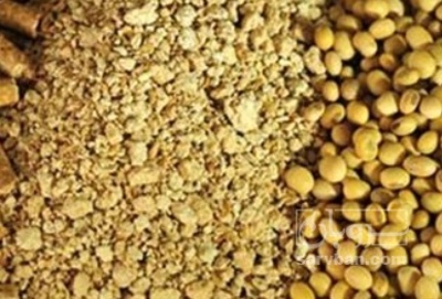 فروش کنجاله کنجد