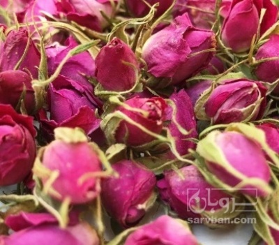 فروش گل محمدی (گیاه‌ دارویی)