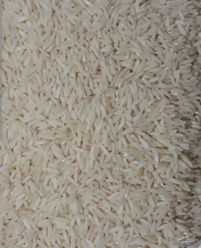 فروش برنج