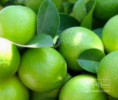 فروش لیموترش