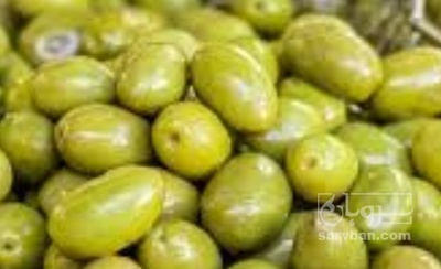 فروش زیتون