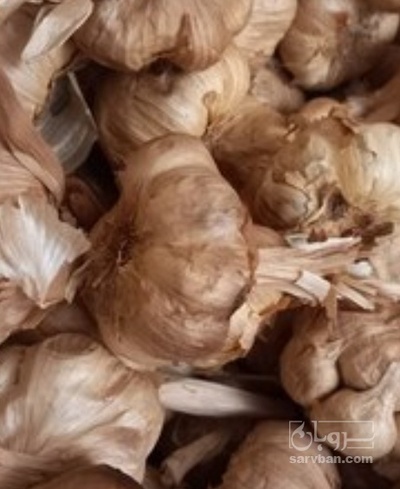 فروش سیر