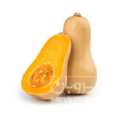 فروش کدوحلوایی