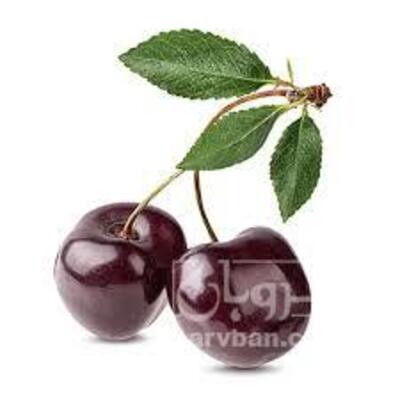 فروش گیلاس