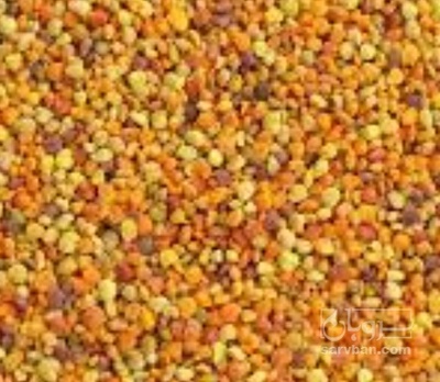 فروش گرده گل