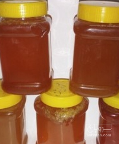 فروش عسل وحشی دارویی