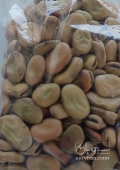 فروش باقلا تازه - باقالی - باقالا