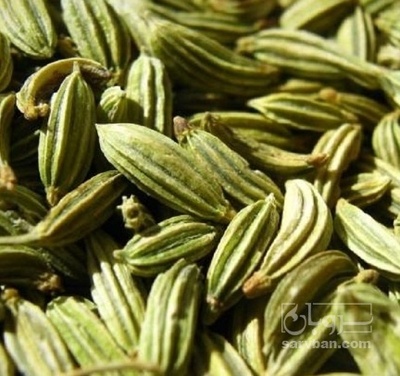 فروش زیره (گیاه‌ دارویی)