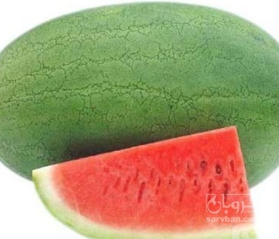 فروش هندوانه ساکاتا