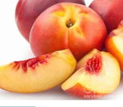 فروش شلیل