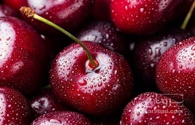 فروش گیلاس