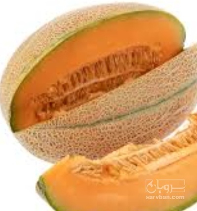 فروش طالبی جانا