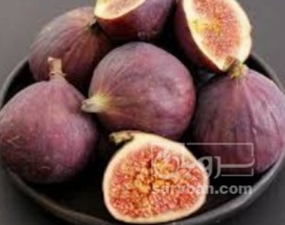 فروش انجیر