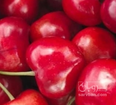 فروش گیلاس