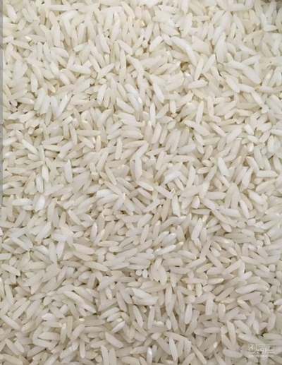فروش برنج