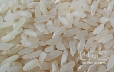 فروش برنج