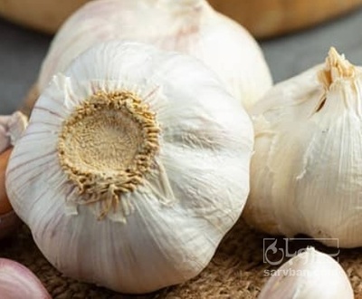 فروش سیر