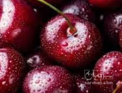 فروش گیلاس