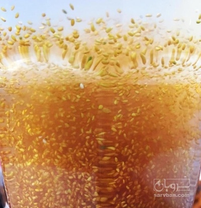 فروش خاکشیر (گیاه‌ دارویی)