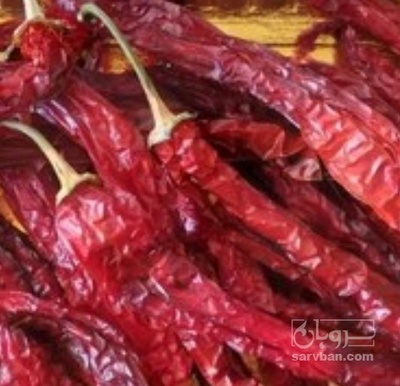 فروش فلفل خشک قرمز