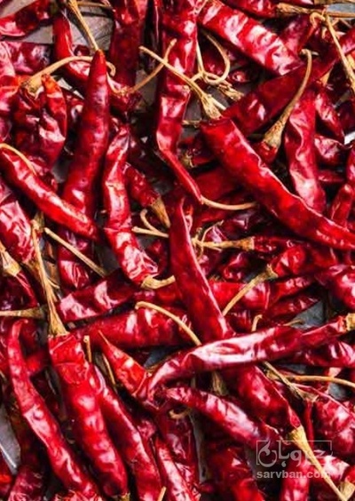 فروش فلفل خشک