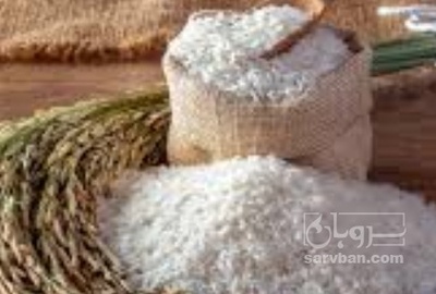 فروش برنج فجر