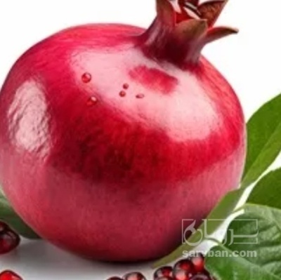 فروش انار