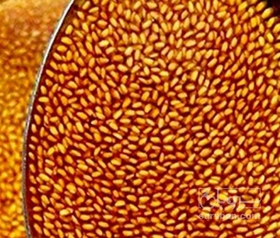 فروش خاکشیر (گیاه‌ دارویی)