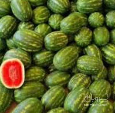 فروش هندوانه