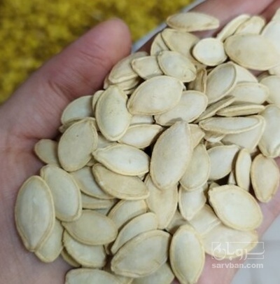 فروش تخمه  کدو بو داده