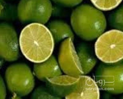 فروش لیمو ترش