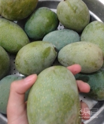 فروش انبه سبز محلی