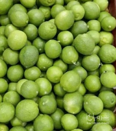 فروش لیمو ترش