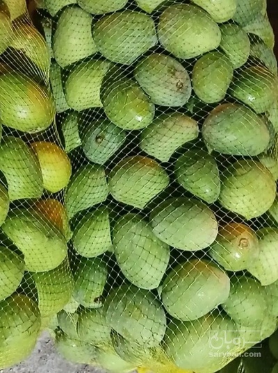 فروش انبه کال