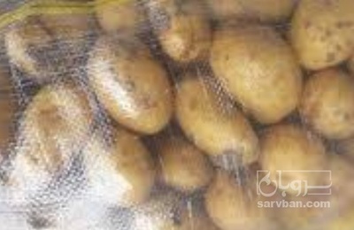فروش سیب زمینی